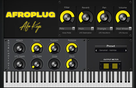 Afrokeyz Lite plugin interface