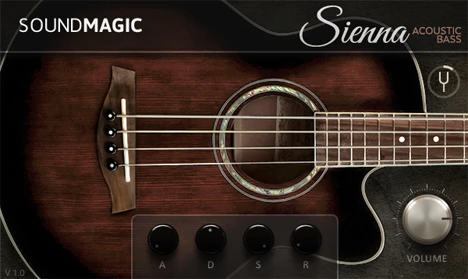 Sienna Bass plugin interface
